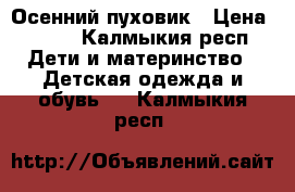 Осенний пуховик › Цена ­ 500 - Калмыкия респ. Дети и материнство » Детская одежда и обувь   . Калмыкия респ.